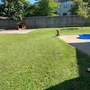 yard care by Bo mows reviewed on August 18, 2025