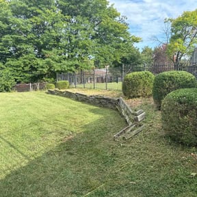 Bush Trimming by Choice Specialties LLC reviewed on August 16, 2025