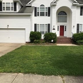Bush Trimming by For My Children Landscaping reviewed on August 19, 2025