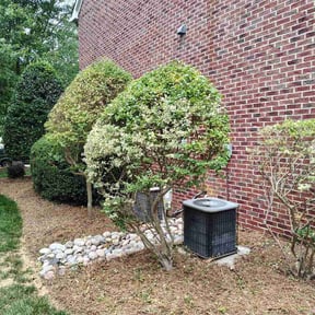 Bush Trimming by Lawn N Order reviewed on May 27, 2026