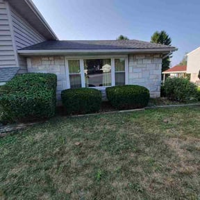 Bush Trimming by Paul's Lawncare Services reviewed on July 30, 2026