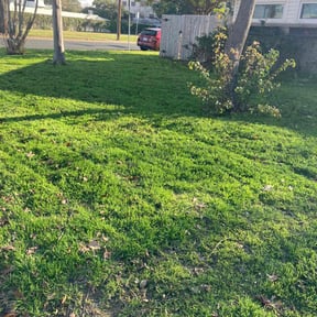 grass cutting by Parada Landscaping  reviewed on August 19, 2025