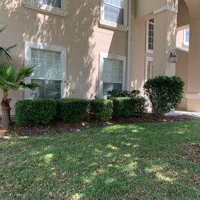 Bush Trimming by Hype's Lawn And Window Cleaning reviewed on August 21, 2025