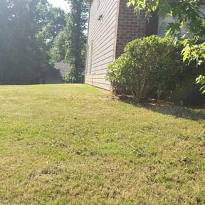 Bush Trimming by Bradley lawncare reviewed on August 16, 2025