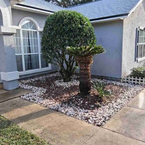 Bush Trimming by Go Green Lawn Services reviewed on December 10, 2025