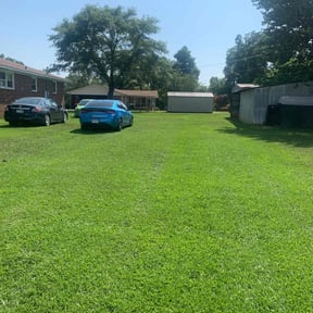 landscaping by Texas Services SA reviewed on August 15, 2025
