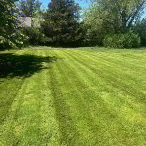 lawn care by John serbin reviewed on April 30, 2025