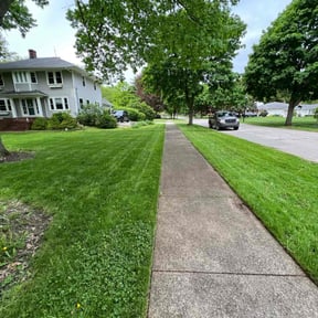 yard maintenance by USA Lawncare Inc reviewed on August 20, 2025