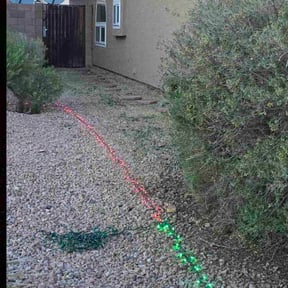 Bush Trimming by Eagle Electric Lawn Care reviewed on December 15, 2025