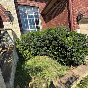 Bush Trimming by CnA Lawn and landscape reviewed on August 18, 2025