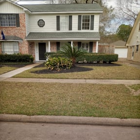 Leaf Removal by Tropical Greenscape reviewed on September 27, 2025