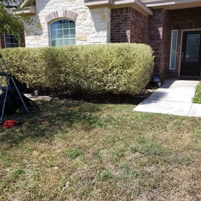 Bush Trimming by YardGoat Mowing reviewed on August 17, 2025