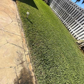 residential landscaping by Roldan Lawn Services LLC reviewed on November 24, 2025