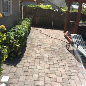 Bush Trimming by Shammy's Lawncare reviewed on August 16, 2025