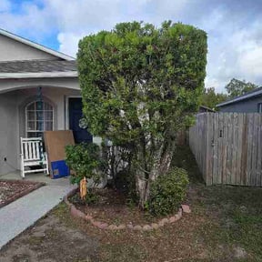 Bush Trimming by Loves Landscaping reviewed on March 29, 2026