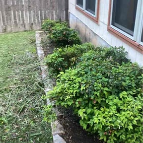Bush Trimming by Affordable Landscaping reviewed on May 6, 2026