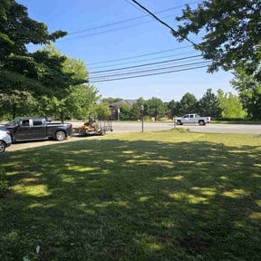 grass maintenance by Better Days reviewed on November 1, 2024