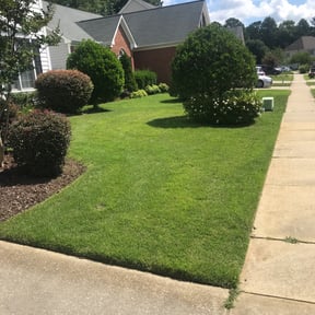 gardening service by Swinson Landscape and Design LLC reviewed on November 21, 2025