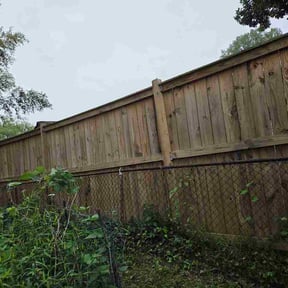 Bush Trimming by CasaLux Outdoor Solutions LLC reviewed on August 14, 2026