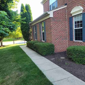 Bush Trimming by Rayford's Landscaping & lawn care reviewed on December 5, 2023