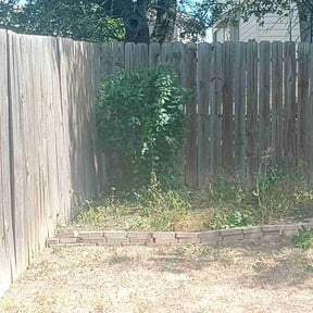 Bush Trimming by JA all purpose reviewed on August 20, 2025