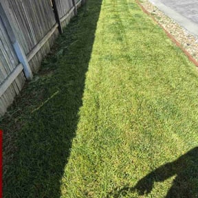 turf maintenance by V&E Landscaping and Lawn Care.... reviewed on March 6, 2024
