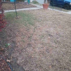 Leaf Removal by Jays lawncare and more reviewed on November 26, 2025