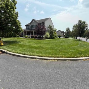 yard work by Ozarkservice reviewed on August 18, 2025