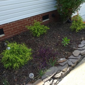 Bush Trimming by The cousins landscaping reviewed on August 19, 2025