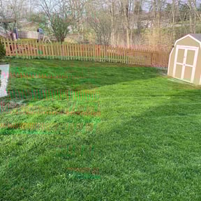 turf care by Chai Vue reviewed on May 18, 2025