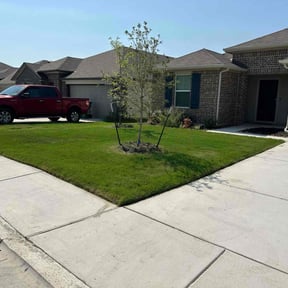 gardening service by Dirty Boy Land &amp; Lawn reviewed on November 24, 2025