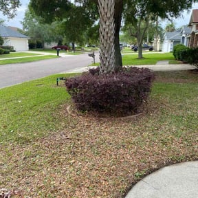 Bush Trimming by Nice & Trim reviewed on August 20, 2025