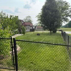 yard work by Grinage Home Services LLC reviewed on August 17, 2025