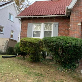 Bush Trimming by Pollard Landscaping reviewed on November 10, 2025