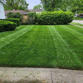 yard maintenance by Ascension Care, LLC. reviewed on August 16, 2025