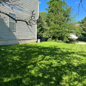 landscaping services by Michael&Son reviewed on August 18, 2025