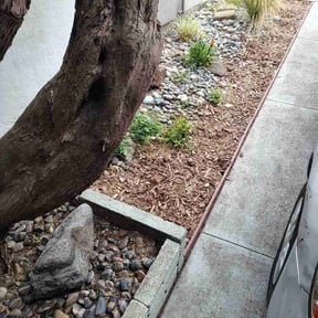 Flower Bed Weeding by Three Bears Lawn Care (West Delivery) reviewed on May 25, 2026