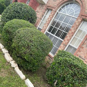 Bush Trimming by St Charles Services reviewed on August 15, 2025