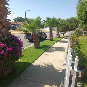 residential landscaping by AJS LAWNCARE &amp; HOME IMPOVEMENT reviewed on October 3, 2023