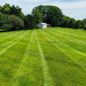 landscaping services by Lawn Care + reviewed on August 18, 2025