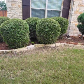 Bush Trimming by Gregory Lawn Service LLC reviewed on August 17, 2025