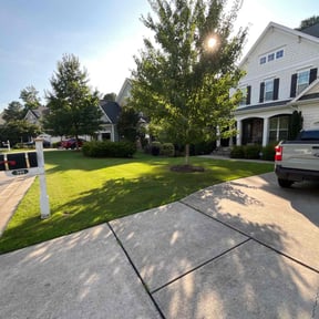 landscaping services by Stockton landscape & handyman services reviewed on August 18, 2025