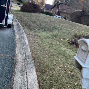 Leaf Removal by Buzz Yard Services reviewed on November 26, 2025