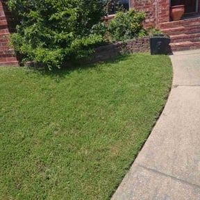 yard work by Lawn pros. reviewed on August 20, 2025