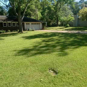 yard care by Definition Landscaping reviewed on August 19, 2025