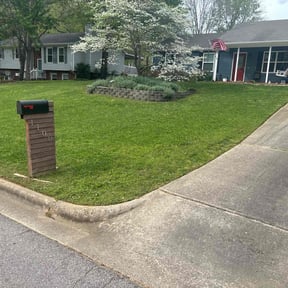 yard care by N.A.L Landscaping and Services LLC reviewed on August 21, 2025