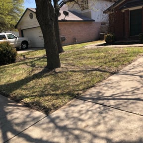 Leaf Removal by Triple Diamond Landscaping reviewed on September 17, 2025