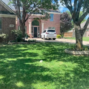 grass maintenance by Curran Lawn and Snow reviewed on August 21, 2025