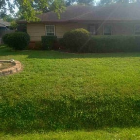 Bush Trimming by Donald Austile Lawn Care reviewed on October 18, 2025