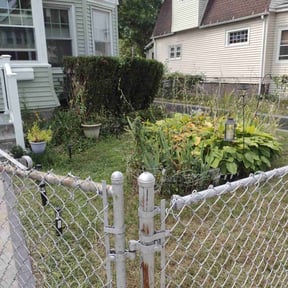 Bush Trimming by Gosia Landscaping reviewed on October 22, 2025